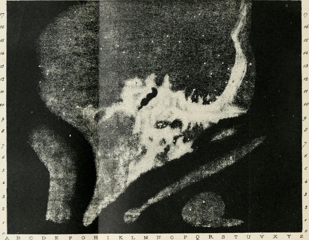An illustration from Les étoiles; essai d'astronomie sidérale, 1895, leaf 7