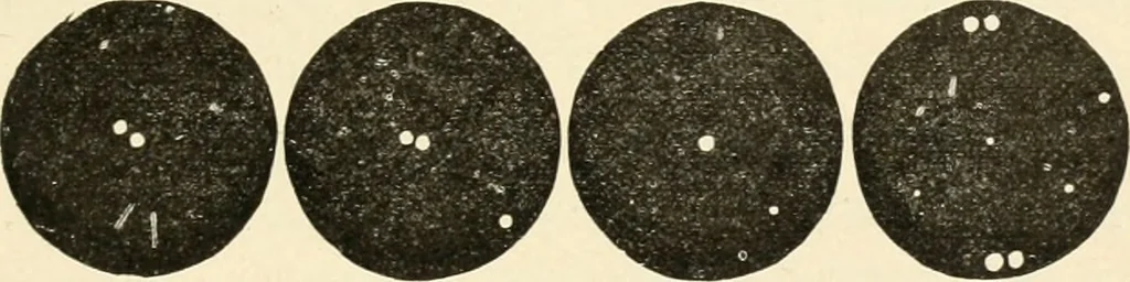 An illustration from Les étoiles; essai d'astronomie sidérale, 1895, leaf 72