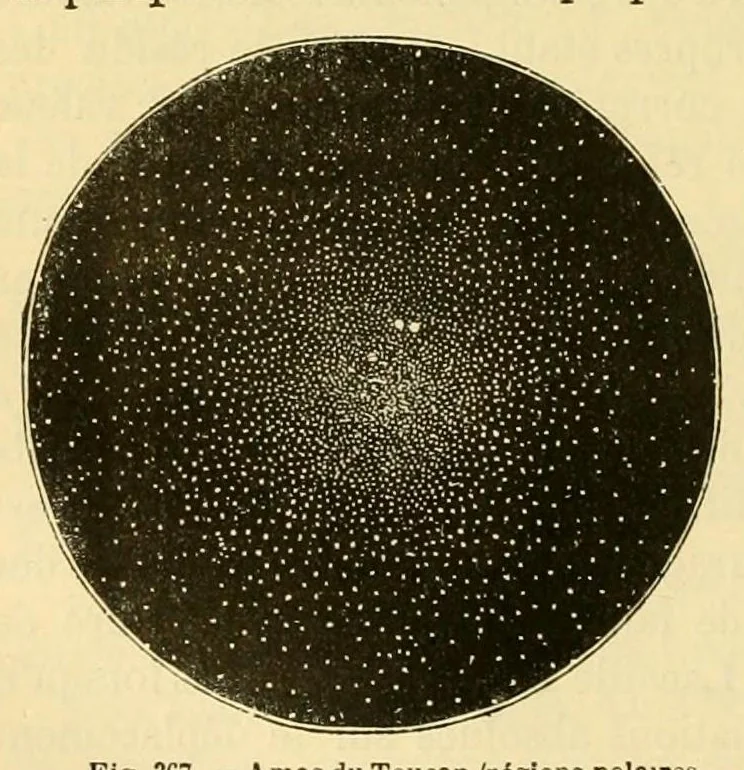 An illustration from Les étoiles et les curiosités du ciel; description complète du ciel visible à l'il nu et de tous les objets célestes faciles à observer;, 1882, leaf 612