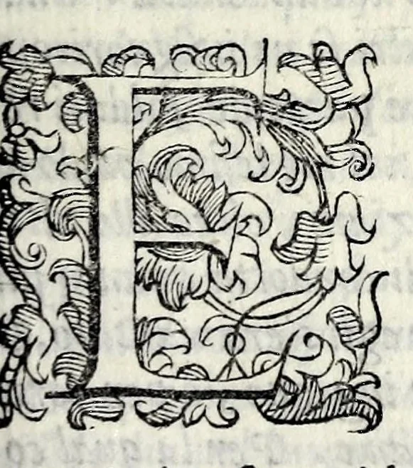 An illustration from Le storie della citta di Firenze, 1584, leaf 109