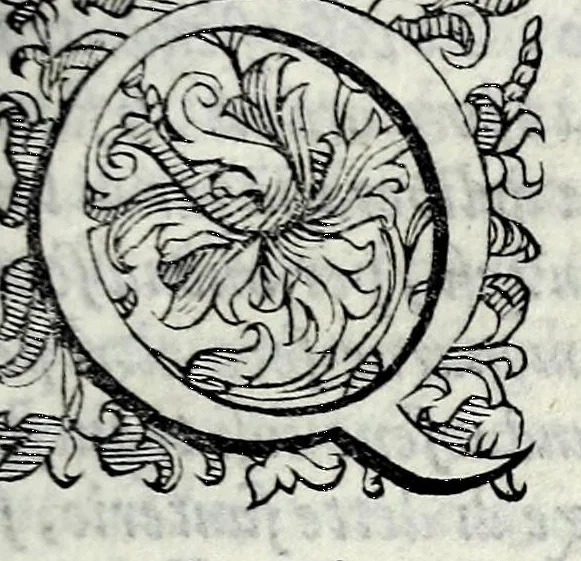 An illustration from Le storie della citta di Firenze, 1584, leaf 131