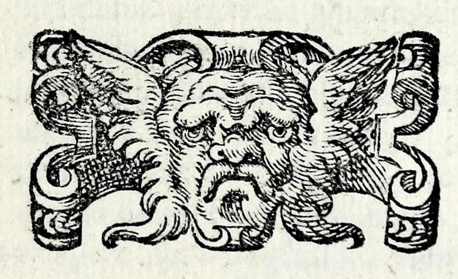 An illustration from Le storie della citta di Firenze, 1584, leaf 21