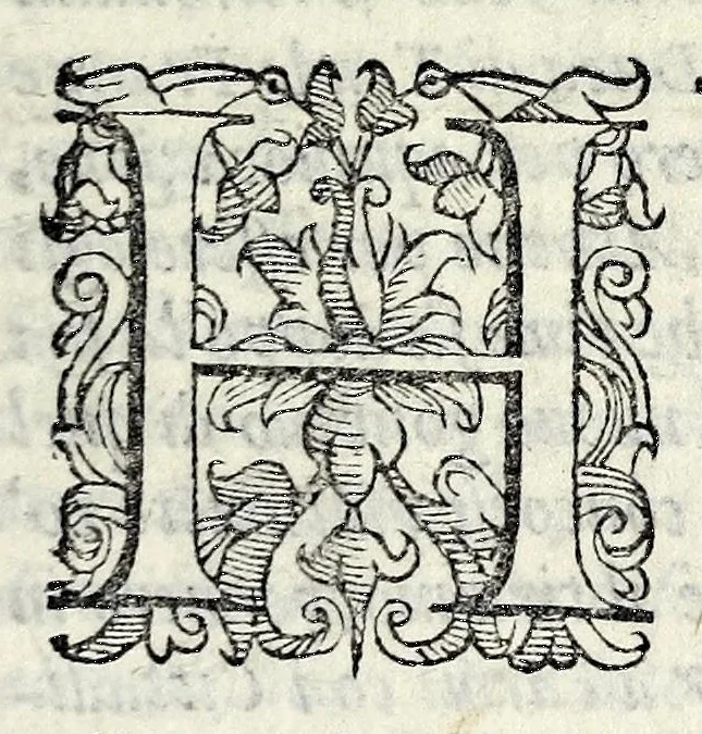 An illustration from Le storie della citta di Firenze, 1584, leaf 23