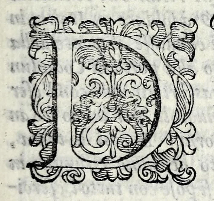An illustration from Le storie della citta di Firenze, 1584, leaf 231
