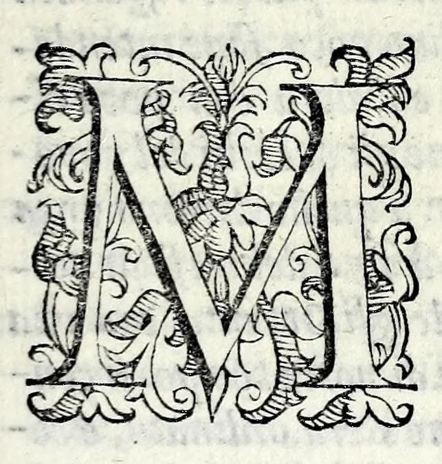 An illustration from Le storie della citta di Firenze, 1584, leaf 281