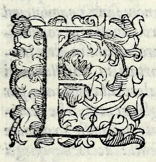 An illustration from Le storie della citta di Firenze, 1584, leaf 393