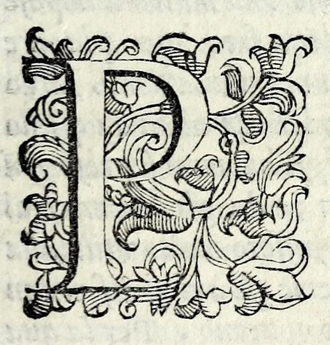 An illustration from Le storie della citta di Firenze, 1584, leaf 53