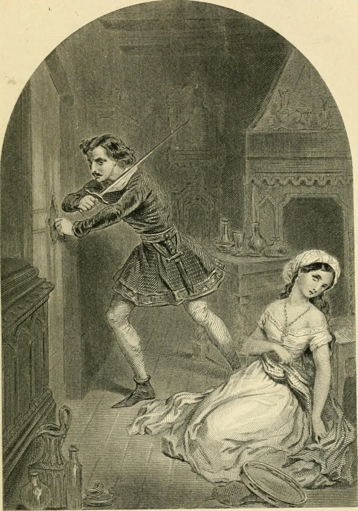 An illustration from Les tribunaux secrets : ouvrage historique, 1880, leaf 604