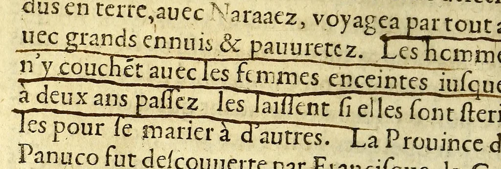 An illustration from Les trois mondes., 1582, leaf 280