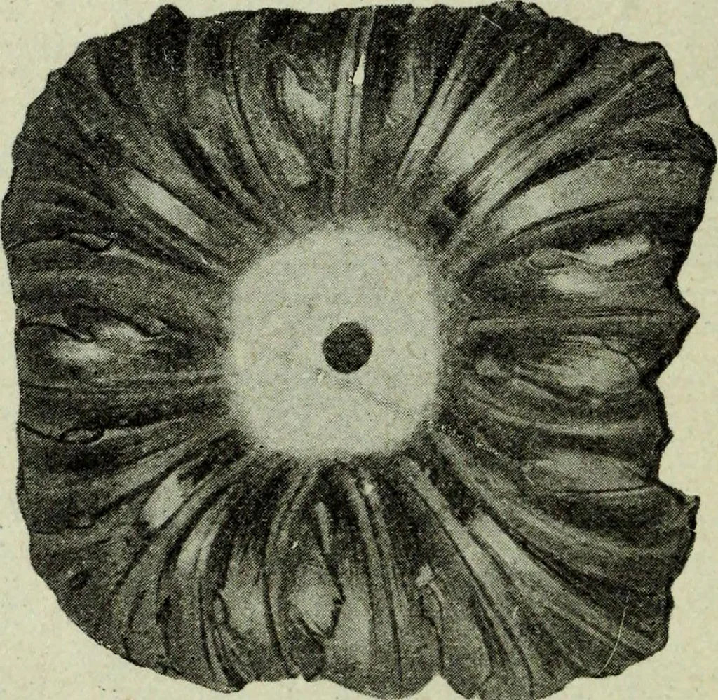 An illustration from Le style Louis XVI : ouvrage orne de 160 gravures environ, 1900, leaf 131