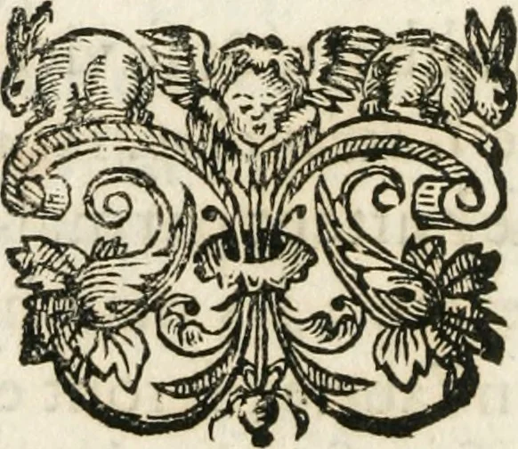 An illustration from Les us, et coutumes de la mer. Divisées en trois parties. I. De la navigation. II. Du commerce naval, & contrats maritimes. III. De la jurisdiction de la marine. Avec un traitté des termes de marine, reglemens de la navigation des fleuves & rivieres; et les nouveaux edits, reglemens, arrests & iugemens rendus sur le fait du commerce de la mer, 1671, leaf 169