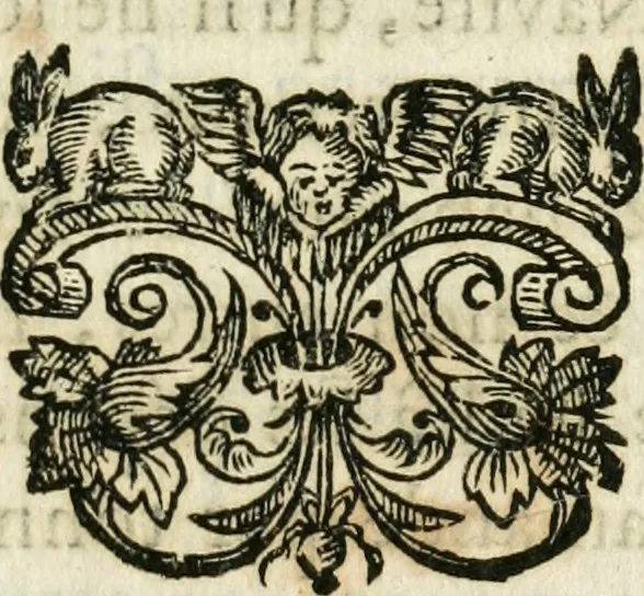 An illustration from Les us, et coutumes de la mer. Divisées en trois parties. I. De la navigation. II. Du commerce naval, & contrats maritimes. III. De la jurisdiction de la marine. Avec un traitté des termes de marine, reglemens de la navigation des fleuves & rivieres; et les nouveaux edits, reglemens, arrests & iugemens rendus sur le fait du commerce de la mer, 1671, leaf 178