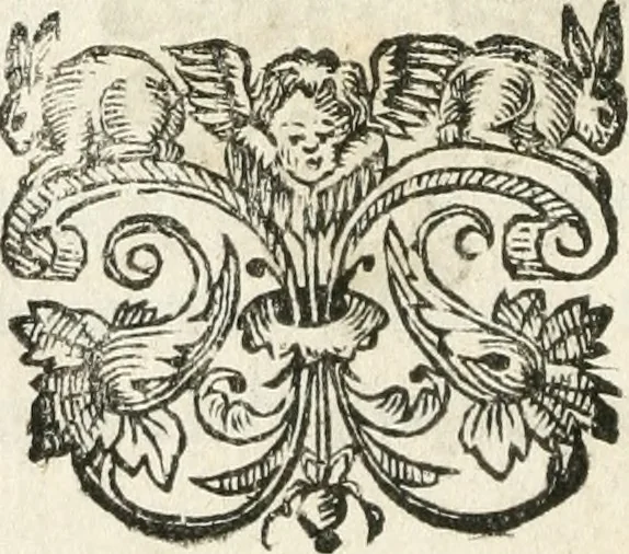 An illustration from Les us, et coutumes de la mer. Divisées en trois parties. I. De la navigation. II. Du commerce naval, & contrats maritimes. III. De la jurisdiction de la marine. Avec un traitté des termes de marine, reglemens de la navigation des fleuves & rivieres; et les nouveaux edits, reglemens, arrests & iugemens rendus sur le fait du commerce de la mer, 1671, leaf 519