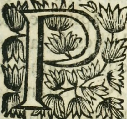 An illustration from Les us, et coutumes de la mer. Divisées en trois parties. I. De la navigation. II. Du commerce naval, & contrats maritimes. III. De la jurisdiction de la marine. Avec un traitté des termes de marine, reglemens de la navigation des fleuves & rivieres; et les nouveaux edits, reglemens, arrests & iugemens rendus sur le fait du commerce de la mer, 1671, leaf 596