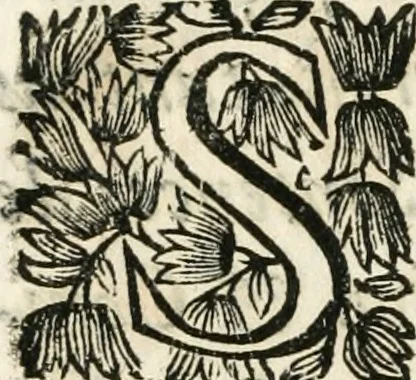 An illustration from Les us, et coutumes de la mer. Divisées en trois parties. I. De la navigation. II. Du commerce naval, & contrats maritimes. III. De la jurisdiction de la marine. Avec un traitté des termes de marine, reglemens de la navigation des fleuves & rivieres; et les nouveaux edits, reglemens, arrests & iugemens rendus sur le fait du commerce de la mer, 1671, leaf 597