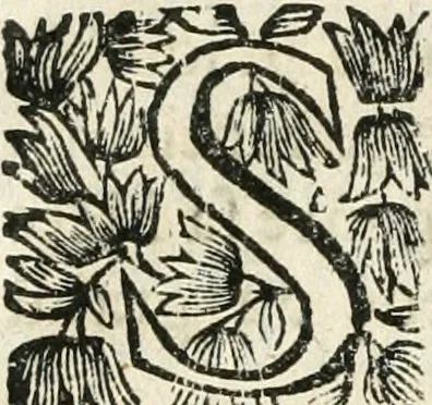 An illustration from Les us, et coutumes de la mer. Divisées en trois parties. I. De la navigation. II. Du commerce naval, & contrats maritimes. III. De la jurisdiction de la marine. Avec un traitté des termes de marine, reglemens de la navigation des fleuves & rivieres; et les nouveaux edits, reglemens, arrests & iugemens rendus sur le fait du commerce de la mer, 1671, leaf 617