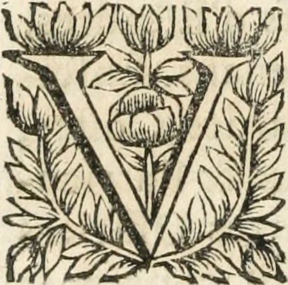 An illustration from Les us, et coutumes de la mer. Divisées en trois parties. I. De la navigation. II. Du commerce naval, & contrats maritimes. III. De la jurisdiction de la marine. Avec un traitté des termes de marine, reglemens de la navigation des fleuves & rivieres; et les nouveaux edits, reglemens, arrests & iugemens rendus sur le fait du commerce de la mer, 1671, leaf 665