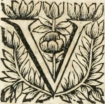 An illustration from Les us, et coutumes de la mer. Divisées en trois parties. I. De la navigation. II. Du commerce naval, & contrats maritimes. III. De la jurisdiction de la marine. Avec un traitté des termes de marine, reglemens de la navigation des fleuves & rivieres; et les nouveaux edits, reglemens, arrests & iugemens rendus sur le fait du commerce de la mer, 1671, leaf 673