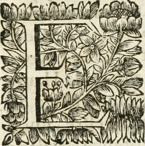 An illustration from Les us, et coutumes de la mer. Divisées en trois parties. I. De la navigation. II. Du commerce naval, & contrats maritimes. III. De la jurisdiction de la marine. Avec un traitté des termes de marine, reglemens de la navigation des fleuves & rivieres; et les nouveaux edits, reglemens, arrests & iugemens rendus sur le fait du commerce de la mer, 1671, leaf 677
