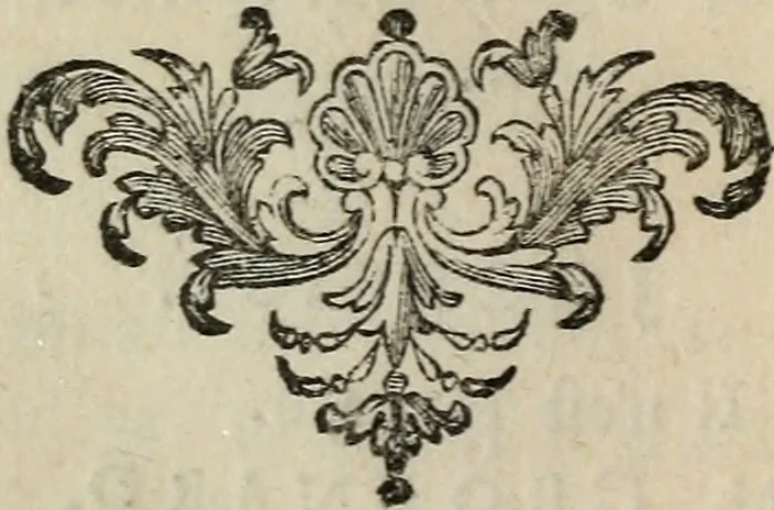 An illustration from Les oeuvres de mr Poisson, 1687, leaf 161
