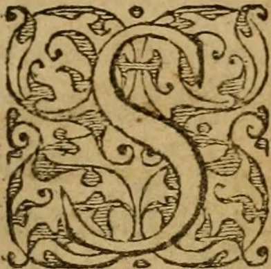 An illustration from Les Vies de Jean Calvin & de Theodore de Beze : mises en Francois, 1681, leaf 20