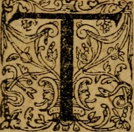 An illustration from Les Vies de Jean Calvin & de Theodore de Beze : mises en Francois, 1681, leaf 212