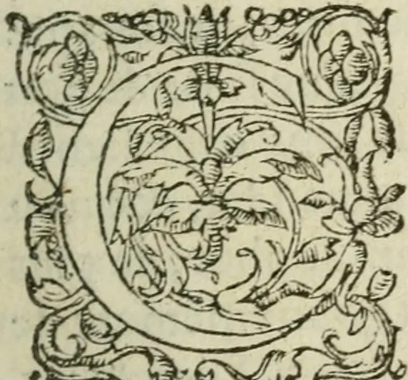 An illustration from Les Vies des hommes illustres, grecs et romains, comparées l'une avec l'autre, 1567, leaf 10