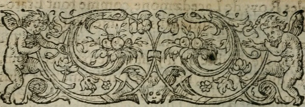 An illustration from Les Vies des hommes illustres, grecs et romains, comparées l'une avec l'autre, 1567, leaf 187