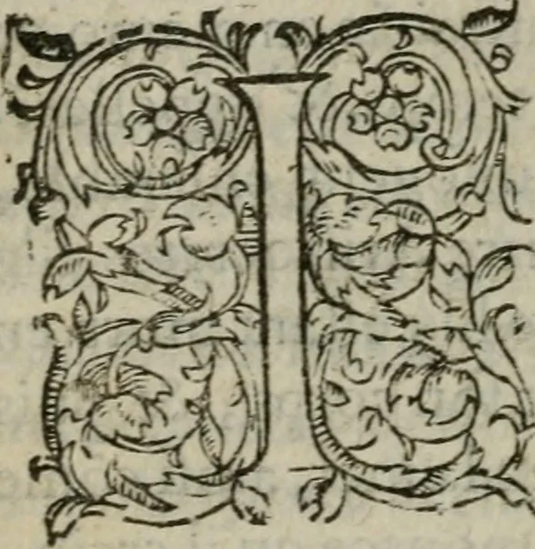 An illustration from Les Vies des hommes illustres, grecs et romains, comparées l'une avec l'autre, 1567, leaf 263