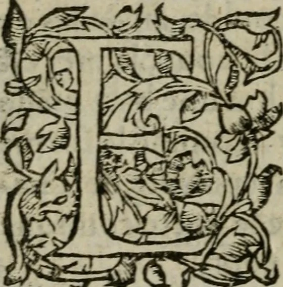 An illustration from Les Vies des hommes illustres, grecs et romains, comparées l'une avec l'autre, 1567, leaf 511