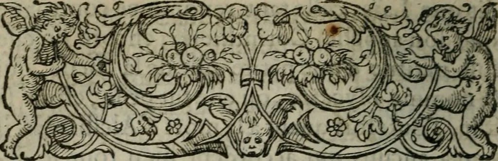 An illustration from Les Vies des hommes illustres, grecs et romains, comparées l'une avec l'autre, 1567, leaf 237