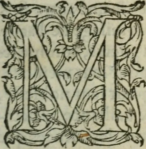 An illustration from Les Vies des hommes illustres, grecs et romains, comparées l'une avec l'autre, 1567, leaf 558