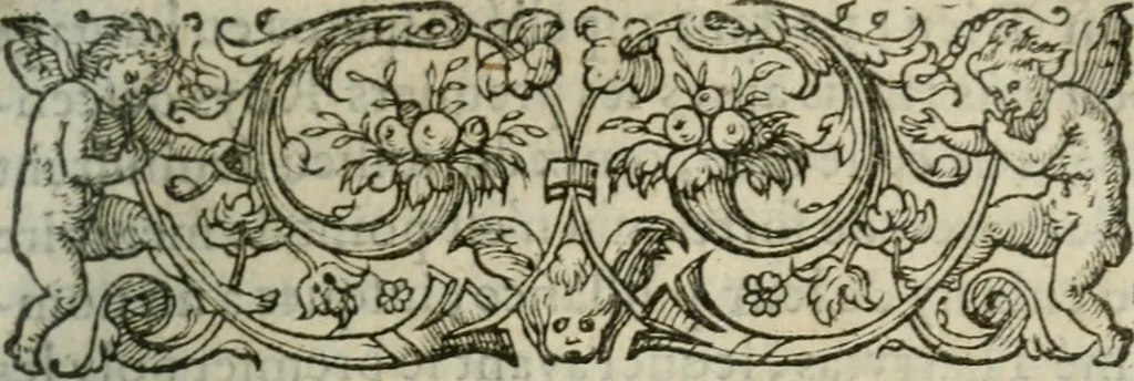 An illustration from Les Vies des hommes illustres, grecs et romains, comparées l'une avec l'autre, 1567, leaf 268