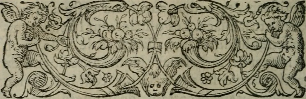 An illustration from Les Vies des hommes illustres, grecs et romains, comparées l'une avec l'autre, 1567, leaf 251