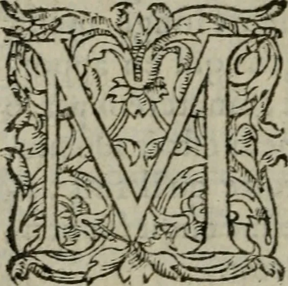 An illustration from Les Vies des hommes illustres, grecs et romains, comparées l'une avec l'autre, 1567, leaf 251