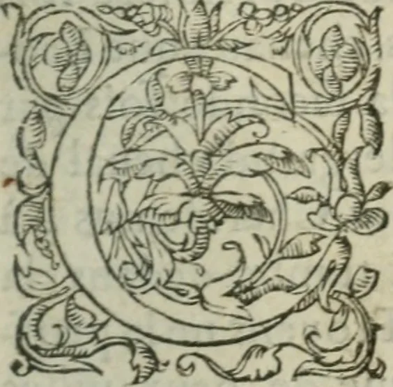 An illustration from Les Vies des hommes illustres, grecs et romains, comparées l'une avec l'autre, 1567, leaf 344