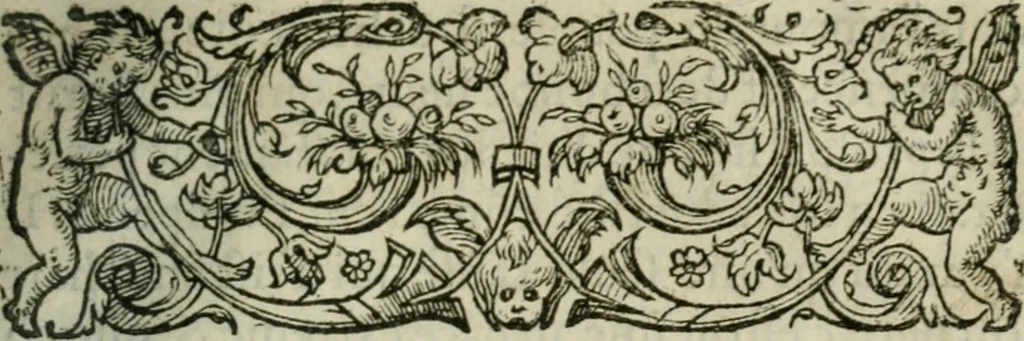 An illustration from Les Vies des hommes illustres, grecs et romains, comparées l'une avec l'autre, 1567, leaf 536