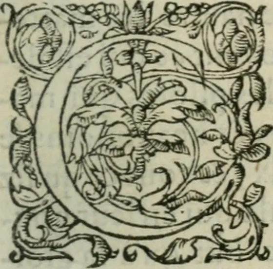 An illustration from Les Vies des hommes illustres, grecs et romains, comparées l'une avec l'autre, 1567, leaf 472