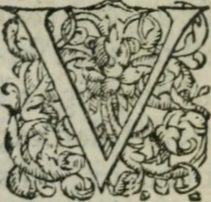 An illustration from Les Vies des hommes illustres, grecs et romains, comparées l'une avec l'autre, 1567, leaf 788