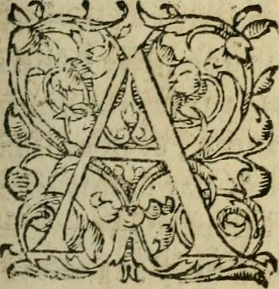 An illustration from Les Vies des hommes illustres, grecs et romains, comparées l'une avec l'autre, 1567, leaf 264