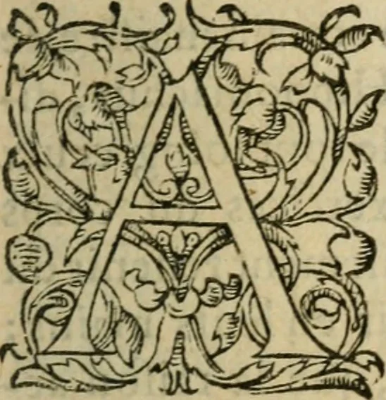 An illustration from Les Vies des hommes illustres, grecs et romains, comparées l'une avec l'autre, 1567, leaf 324