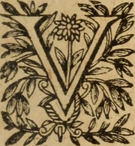 An illustration from Les visions; augmentées de l'Enfer reformé; ou, Sedition infernalle, 1636, leaf 26