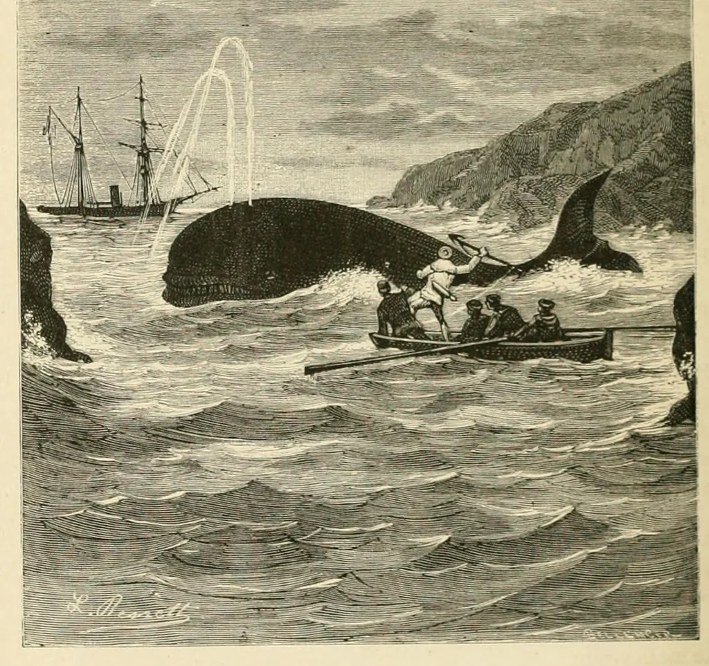 An illustration from Les voyages au théâtrè par A. D'Ennery et Jules Verne. Dessins par L. Benett et H. Meyer, 1881, leaf 284