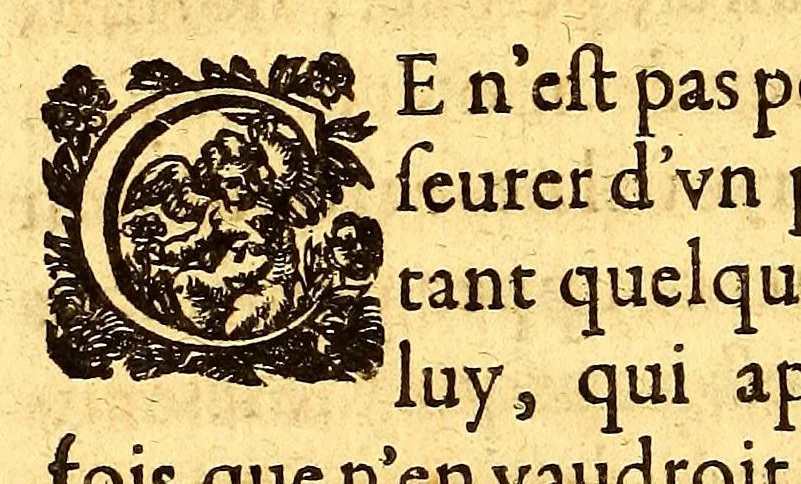 An illustration from Les voyages de la Nouuelle France occidentale, dite Canada: faits par le sr de Champlain Xainctongeois, Capitaine pour le roy en la marine du Ponant, & toutes les descouuertes qu'il a faites en ce païs depuis l'an 1603. iusques en l'an 1629. ... auec vn traicté des qualitez & conditions requises à vn bon & parfait nauigateur pour cognoistre la diuersité des estimes qui se font en la nauigation ... ensemble vne carte generale de la description dudit pays faite en son meridien, selon la declinaison de la guide-aymant; & vn catechisme ou instruction traduite du françois au langage des peuples sauuages de quelque contrée: auec ce qui s'est passé en ladite Nouuelle France en l'année 1631, 1640, leaf 362