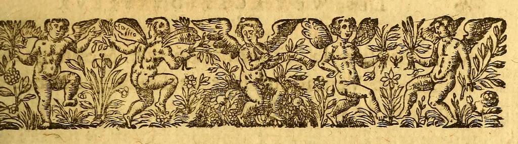 An illustration from Les voyages de la Nouuelle France occidentale, dite Canada: faits par le sr de Champlain Xainctongeois, Capitaine pour le roy en la marine du Ponant, & toutes les descouuertes qu'il a faites en ce païs depuis l'an 1603. iusques en l'an 1629. ... auec vn traicté des qualitez & conditions requises à vn bon & parfait nauigateur pour cognoistre la diuersité des estimes qui se font en la nauigation ... ensemble vne carte generale de la description dudit pays faite en son meridien, selon la declinaison de la guide-aymant; & vn catechisme ou instruction traduite du françois au langage des peuples sauuages de quelque contrée: auec ce qui s'est passé en ladite Nouuelle France en l'année 1631, 1640, leaf 409