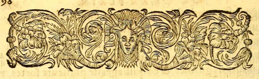 An illustration from Les voyages de la Nouuelle France occidentale, dicte Canada, faits par le sr de Champlain Xainctongeois, capitaine pour le roy en la marine du Ponant, & toutes les descouuertes qu'il a faites en ce païs depuis l'an 1603. iusques en l'an 1629. ... auec vn traitté des qualitez & conditions requises à vn bon & parfaict nauigateur pour cognoistre la diuersité des estimes qui se font en la nauigation ... ensemble vne carte generalle de la description dudit pays faicte en son meridien selon la declinaison de la guide aymant, & vn catechisme ou instruction traduicte du françois au langage des peuples sauuages de quelque contrée, auec ce qui s'est passé en ladite Nouuelle France en l'année 1631, 1632, leaf 112