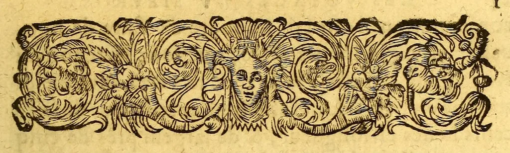 An illustration from Les voyages de la Nouuelle France occidentale, dicte Canada, faits par le sr de Champlain Xainctongeois, capitaine pour le roy en la marine du Ponant, & toutes les descouuertes qu'il a faites en ce païs depuis l'an 1603. iusques en l'an 1629. ... auec vn traitté des qualitez & conditions requises à vn bon & parfaict nauigateur pour cognoistre la diuersité des estimes qui se font en la nauigation ... ensemble vne carte generalle de la description dudit pays faicte en son meridien selon la declinaison de la guide aymant, & vn catechisme ou instruction traduicte du françois au langage des peuples sauuages de quelque contrée, auec ce qui s'est passé en ladite Nouuelle France en l'année 1631, 1632, leaf 15