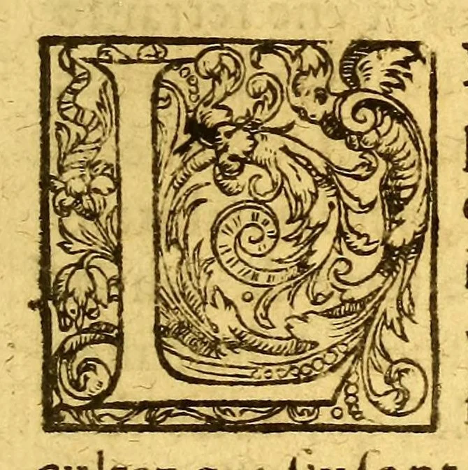 An illustration from Les voyages de la Nouuelle France occidentale, dicte Canada, faits par le sr de Champlain Xainctongeois, capitaine pour le roy en la marine du Ponant, & toutes les descouuertes qu'il a faites en ce païs depuis l'an 1603. iusques en l'an 1629. ... auec vn traitté des qualitez & conditions requises à vn bon & parfaict nauigateur pour cognoistre la diuersité des estimes qui se font en la nauigation ... ensemble vne carte generalle de la description dudit pays faicte en son meridien selon la declinaison de la guide aymant, & vn catechisme ou instruction traduicte du françois au langage des peuples sauuages de quelque contrée, auec ce qui s'est passé en ladite Nouuelle France en l'année 1631, 1632, leaf 15