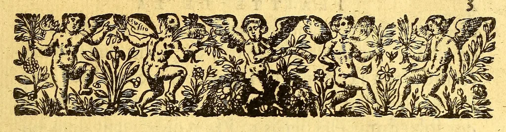 An illustration from Les voyages de la Nouuelle France occidentale, dicte Canada, faits par le sr de Champlain Xainctongeois, capitaine pour le roy en la marine du Ponant, & toutes les descouuertes qu'il a faites en ce païs depuis l'an 1603. iusques en l'an 1629. ... auec vn traitté des qualitez & conditions requises à vn bon & parfaict nauigateur pour cognoistre la diuersité des estimes qui se font en la nauigation ... ensemble vne carte generalle de la description dudit pays faicte en son meridien selon la declinaison de la guide aymant, & vn catechisme ou instruction traduicte du françois au langage des peuples sauuages de quelque contrée, auec ce qui s'est passé en ladite Nouuelle France en l'année 1631, 1632, leaf 667