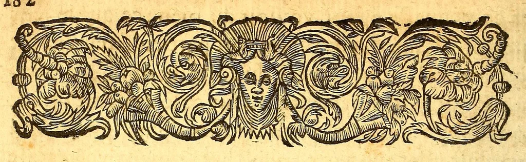 An illustration from Les voyages de la Nouuelle France occidentale, dicte Canada, faits par le sr de Champlain Xainctongeois, capitaine pour le roy en la marine du Ponant, & toutes les descouuertes qu'il a faites en ce païs depuis l'an 1603. iusques en l'an 1629. ... auec vn traitté des qualitez & conditions requises à vn bon & parfaict nauigateur pour cognoistre la diuersité des estimes qui se font en la nauigation ... ensemble vne carte generalle de la description dudit pays faicte en son meridien selon la declinaison de la guide aymant, & vn catechisme ou instruction traduicte du françois au langage des peuples sauuages de quelque contrée, auec ce qui s'est passé en ladite Nouuelle France en l'année 1631, 1632, leaf 204